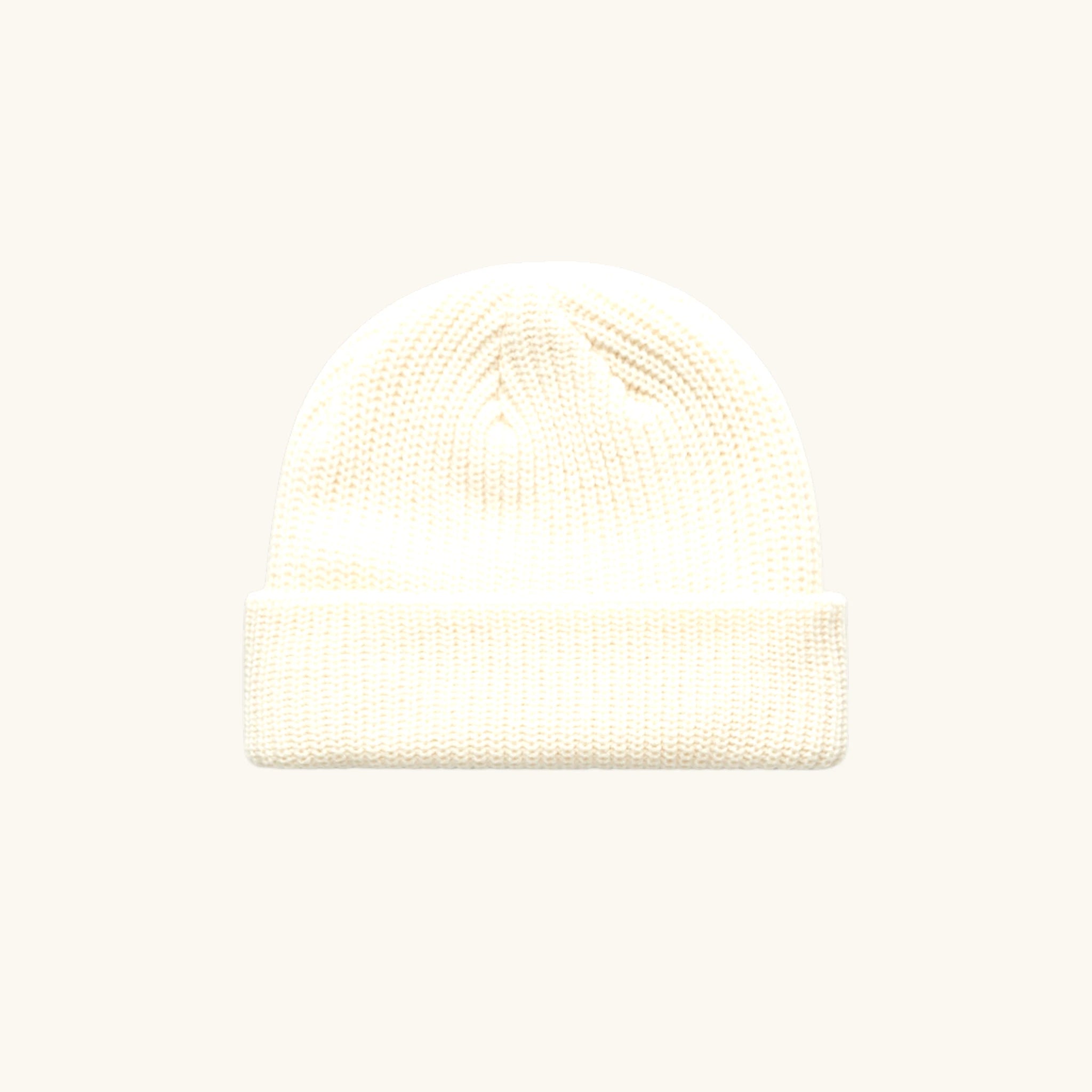 The Winter Wanderer Beanie