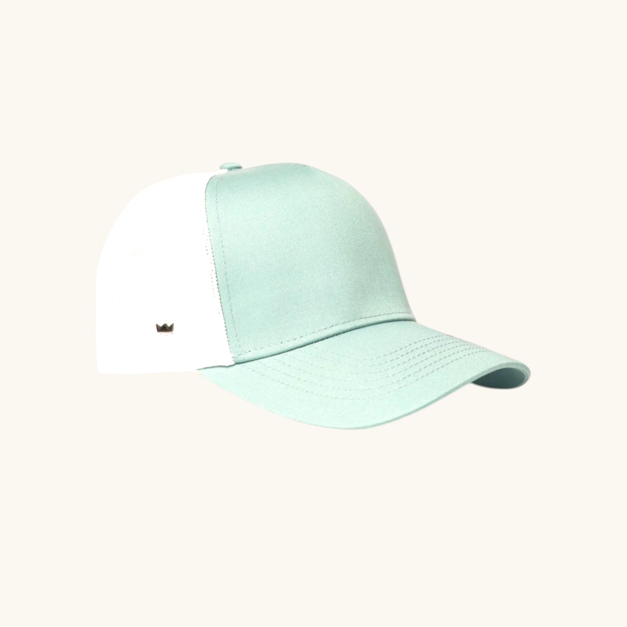 The Peak Performer Snapback