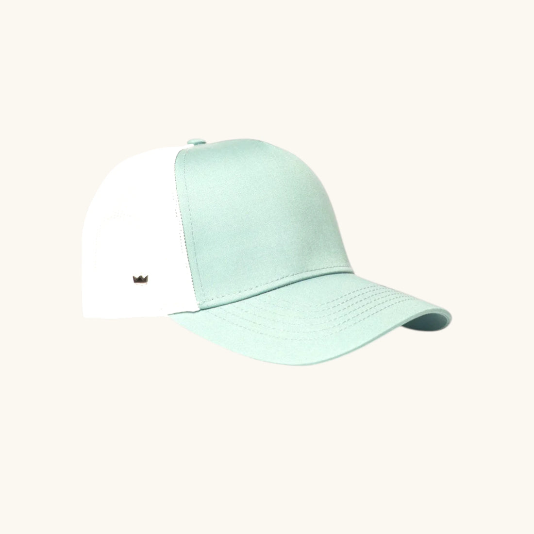 The Peak Performer Snapback
